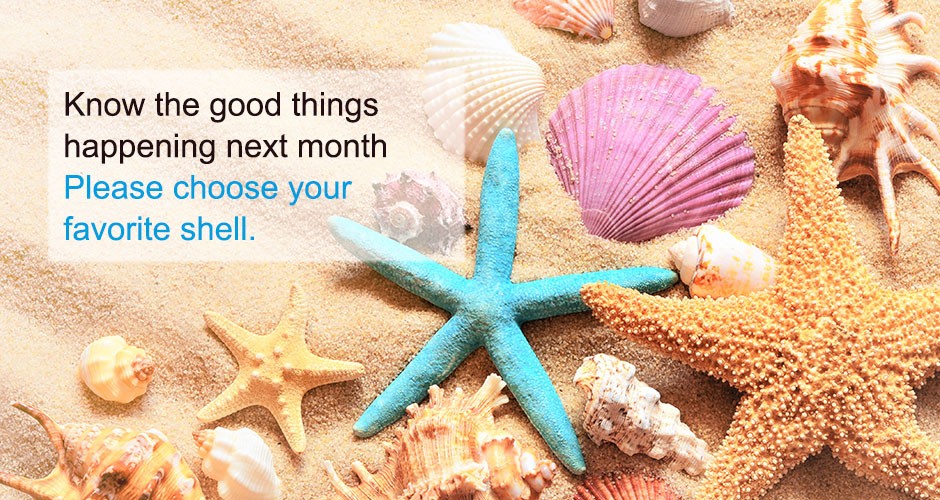 Please choose your favorite shell to know what good things happening on you.